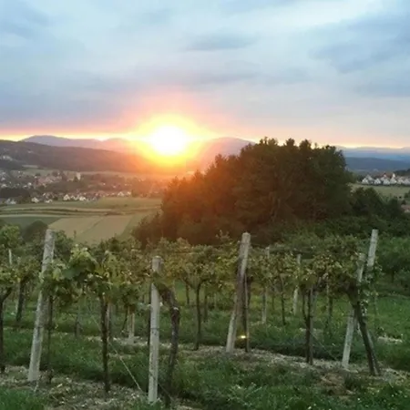 Vakantiehuis Urlaub Im Gruenen - Charmantes *